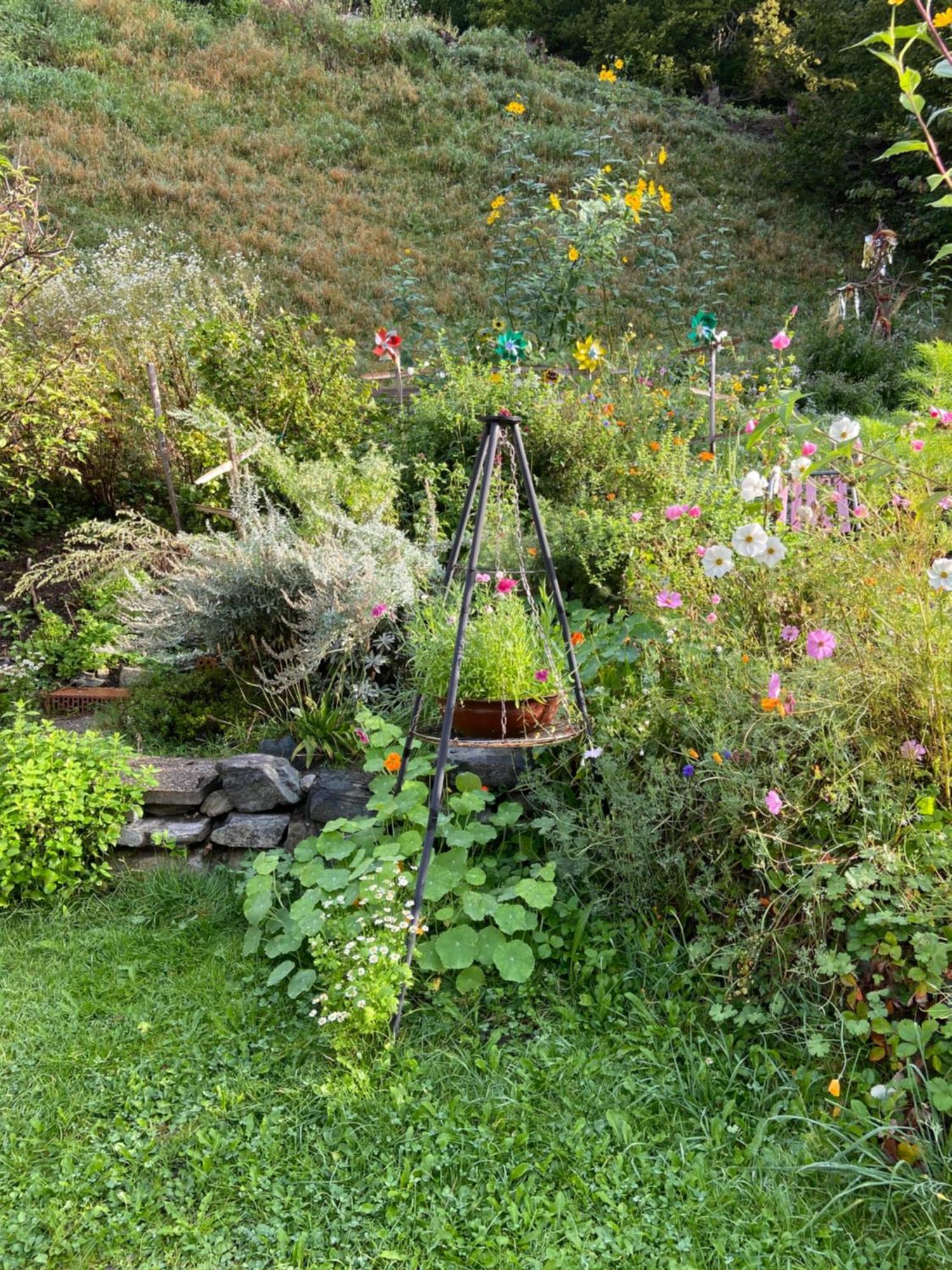 Haus Am Rain Bed and Breakfast Partenen Buitenkant foto