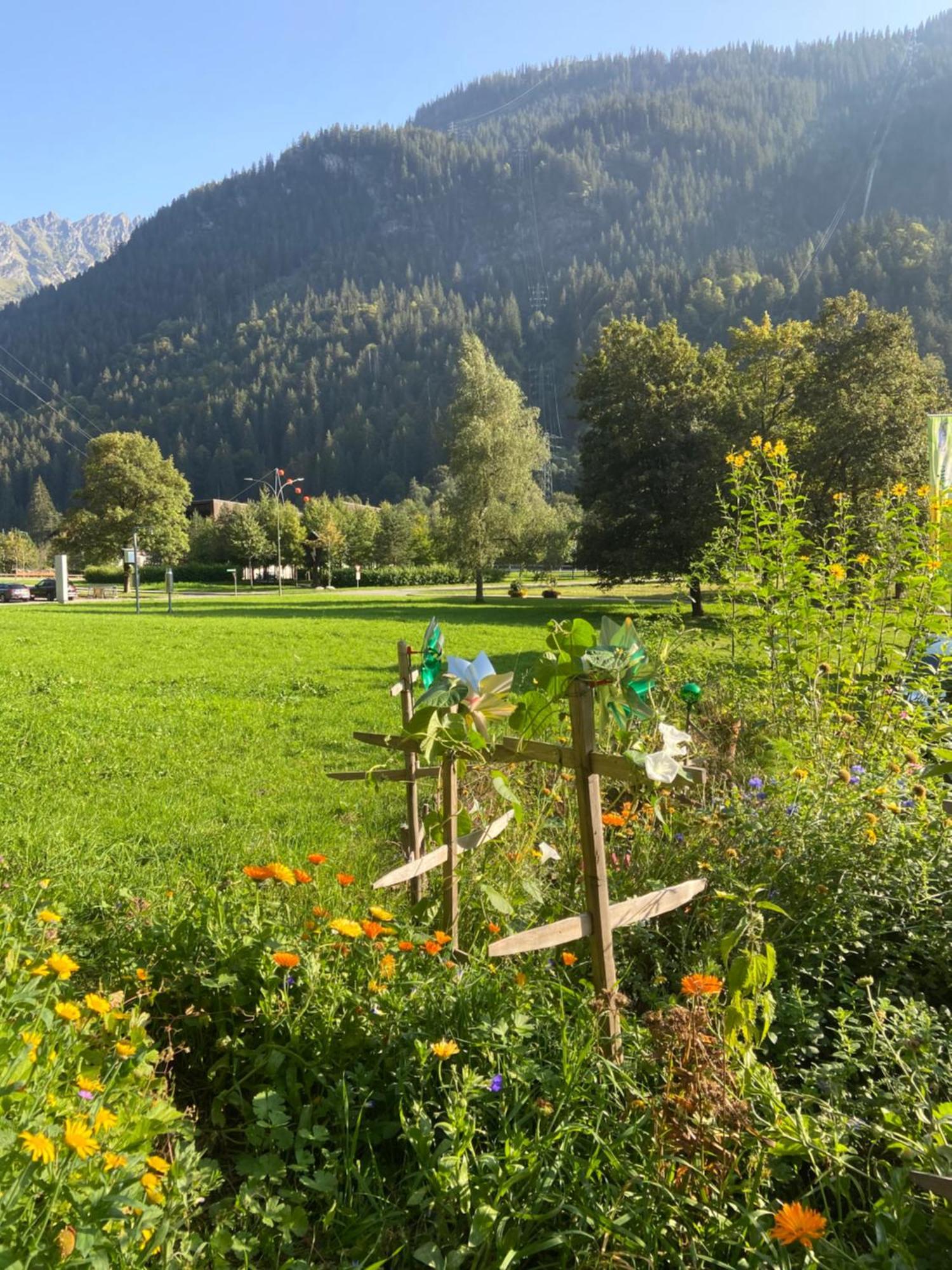 Haus Am Rain Bed and Breakfast Partenen Buitenkant foto