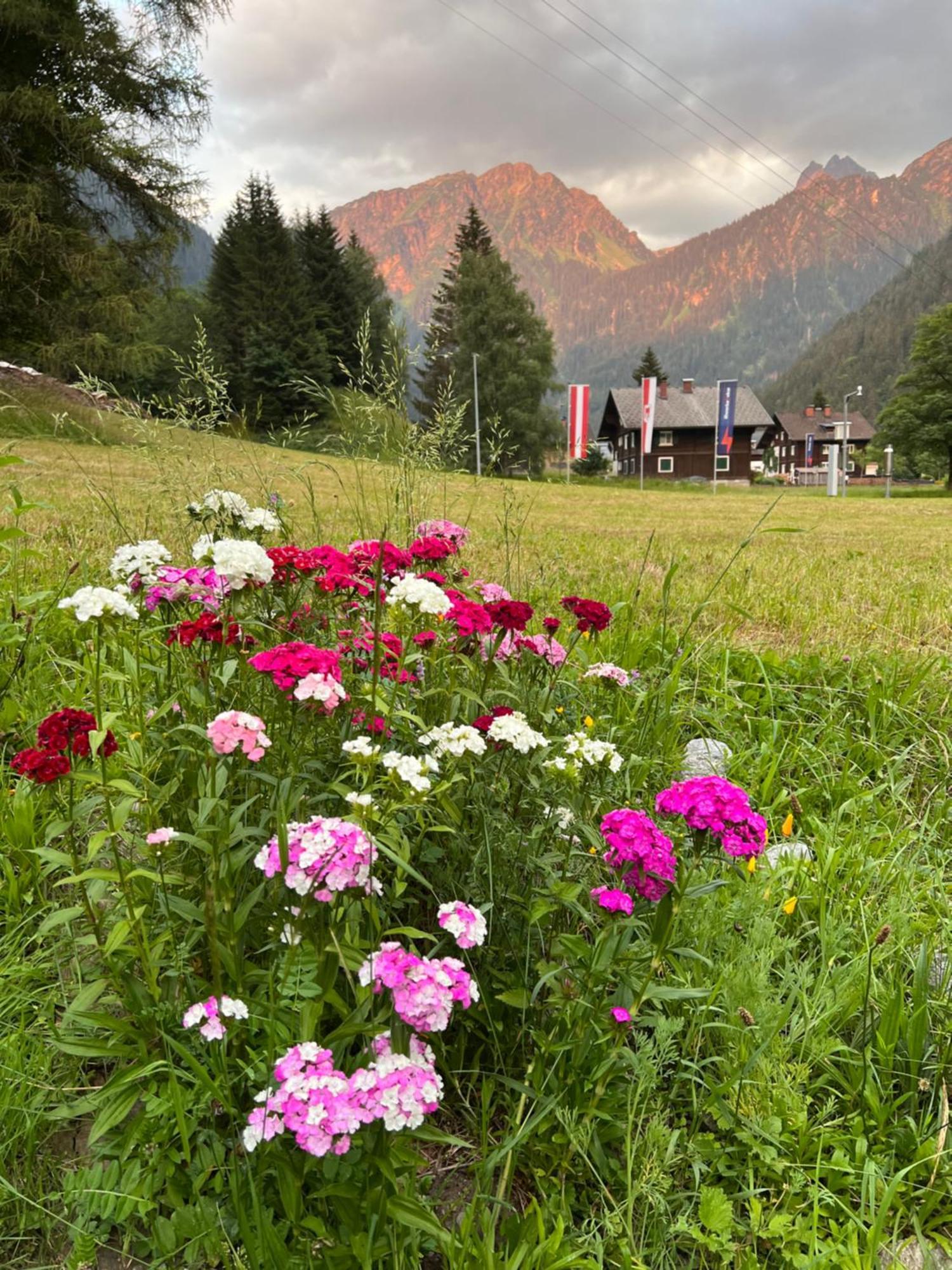 Haus Am Rain Bed and Breakfast Partenen Buitenkant foto