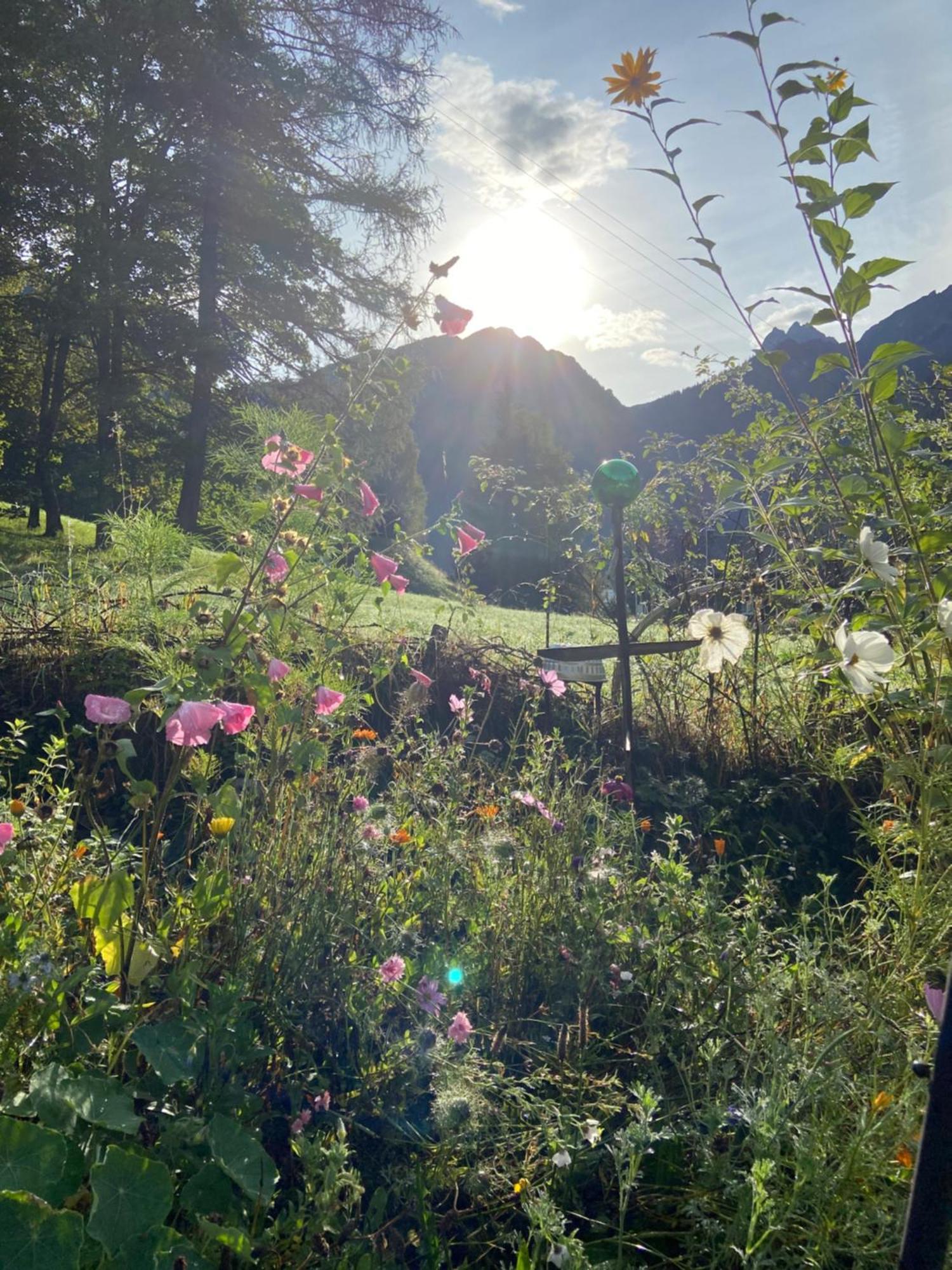 Haus Am Rain Bed and Breakfast Partenen Buitenkant foto