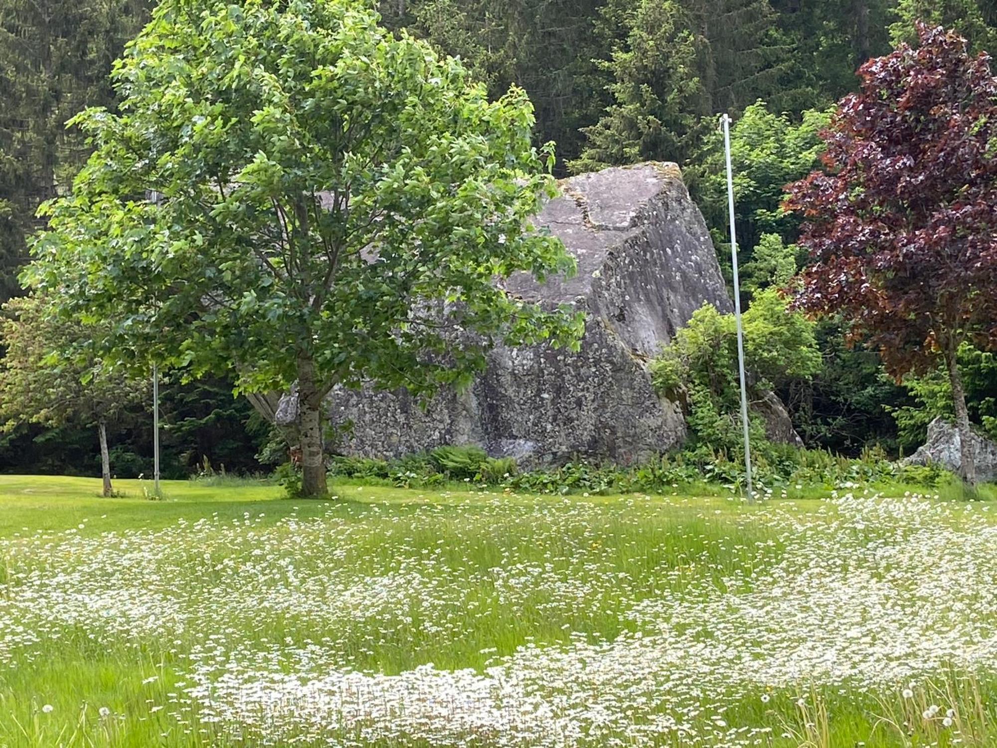 Haus Am Rain Bed and Breakfast Partenen Buitenkant foto